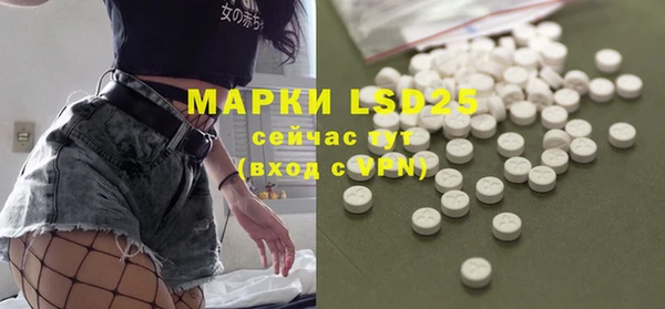 ПСИЛОЦИБИНОВЫЕ ГРИБЫ Баксан