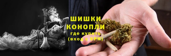 ПСИЛОЦИБИНОВЫЕ ГРИБЫ Баксан