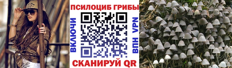 Псилоцибиновые грибы GOLDEN TEACHER  mega ссылки  Зубцов 